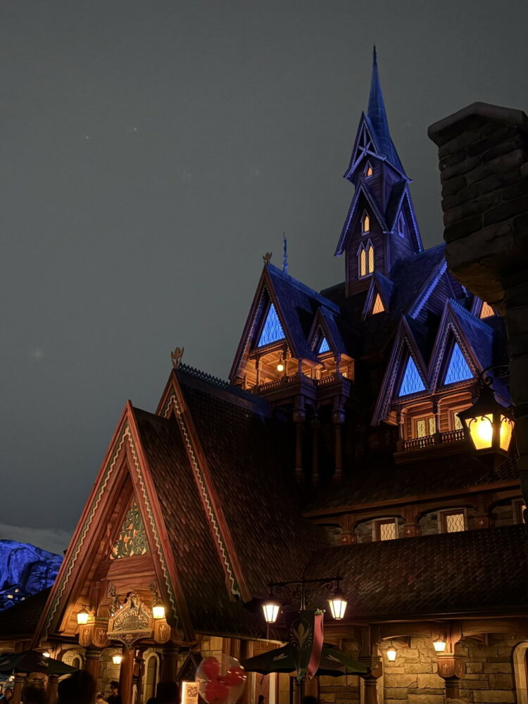 ディスニーシーへ！🌍🐭