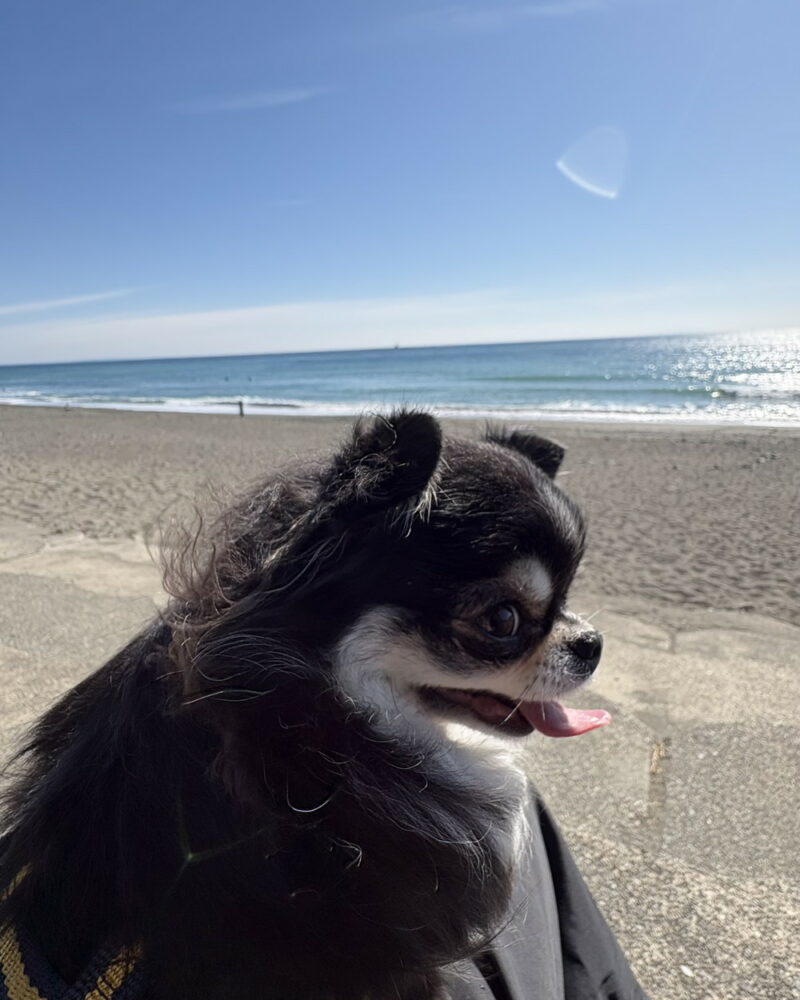 わたしの最近の休日🏝️