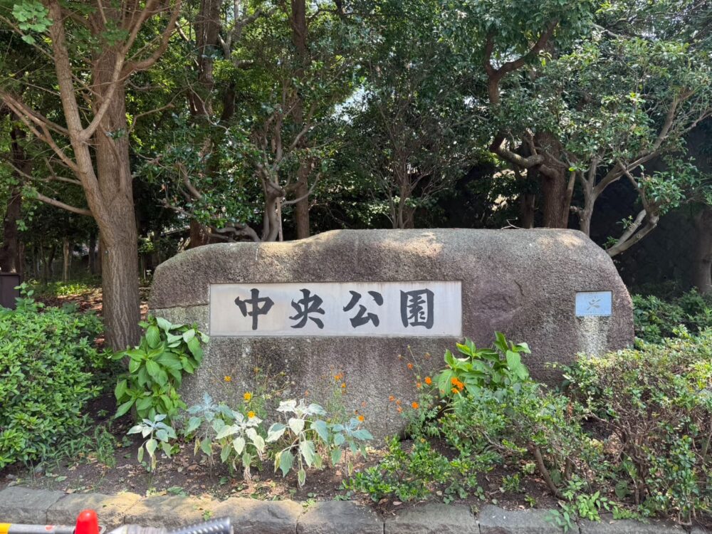 茅ヶ崎中央公園でリュウゼツランが開花