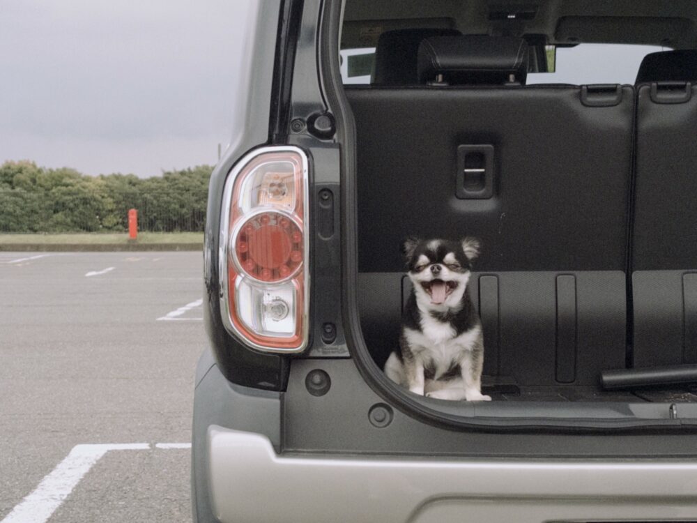 友達と愛犬と葉山デート🚗