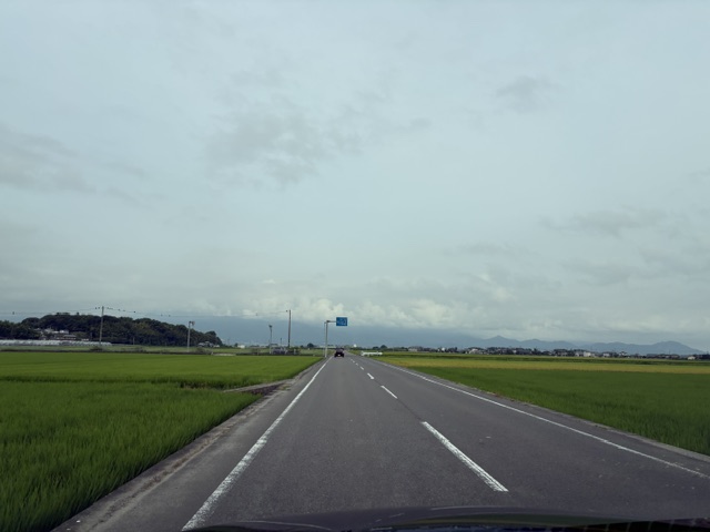 １年ぶりの帰省です